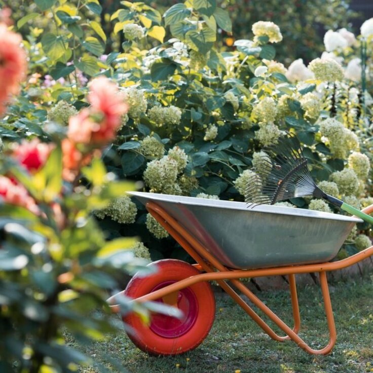 September Gardening Tips: Preparing Your Garden for Fall (Monthly Gardening Tips)