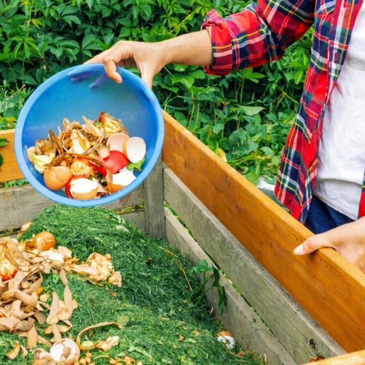 The Benefits of Composting: How to Start A Compost Bin (Gardening)