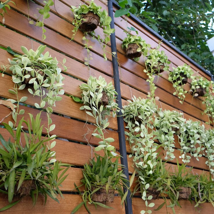 Easy Vertical Garden Systems: Transform Your Wall into a Green Haven
